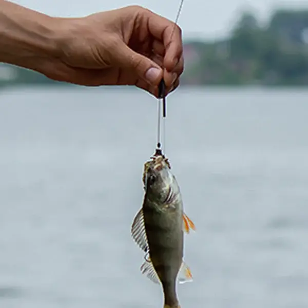 awgewaeg1wa56eg1wa65gawgag