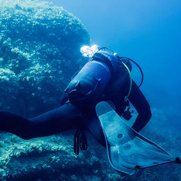 awgewag1wae5g1wa5g1wa5g1wa5g