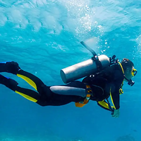 wefwaefgwa1g5w1g65aw1g65aahgah